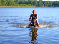 Swimming with gelding Thor