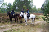 three riders in the heath